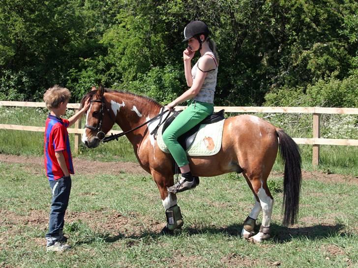 Anden særlig race Shrek billede 11