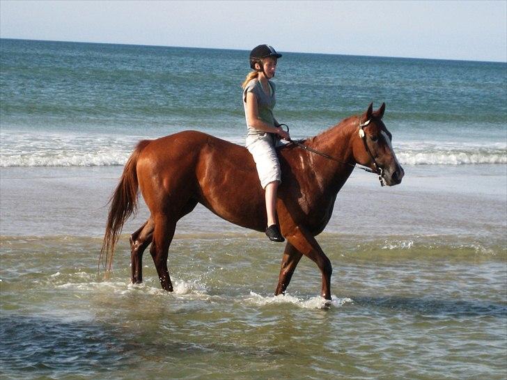 Quarter Watch Jackie Impress - Første gang på stranden - Fotograf: Min  mor billede 4