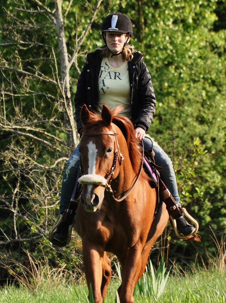 Quarter Watch Jackie Impress - Nybæk plantage - Fotograf: Min mor billede 17