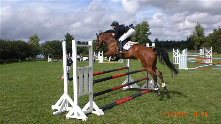 Dansk Varmblod Cape Cille E - R.I.P. - Cille i BRIK i LC august 2009 billede 16