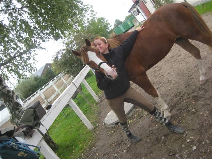 Hollandsk Sportspony U-peter (Orlando)  - mig og orlando billede 5