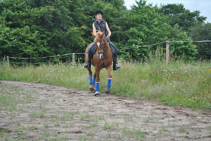 Anden særlig race Donna <3  - min smukke pony :D billede 2