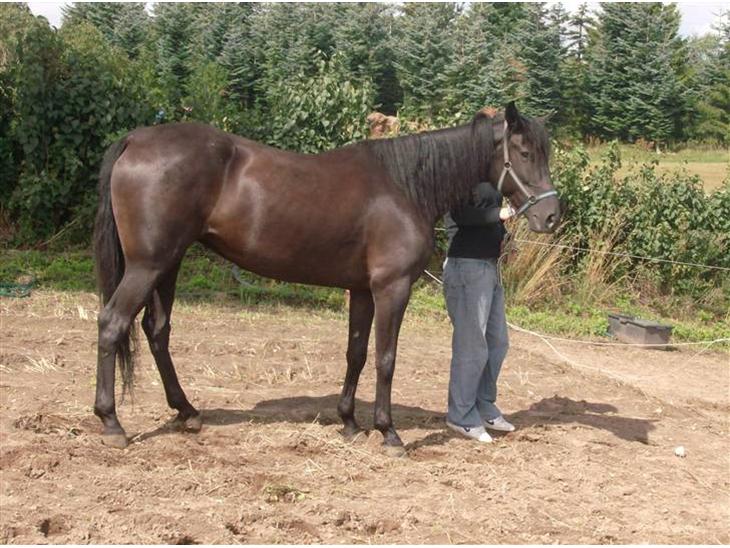 {{currentPhoto.altText}} billede {{currentPhoto.number}}