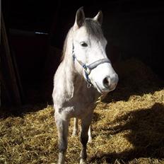 Anden særlig race Sebastian<3 Savner dig!
