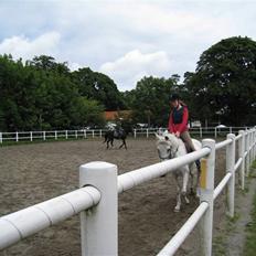 Anden særlig race Ladystar *R.I.P.*