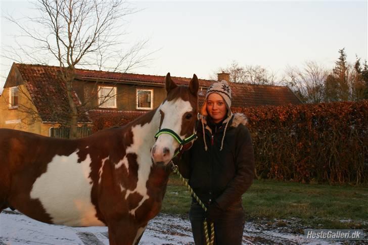 Paint Mills Intimidator - 2. Miller og mig (; Taget af: Julie Lendal billede 2