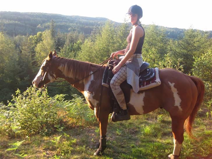 Paint Mills Intimidator - 7. Sikke da en lækker udsigt de har i Gjern (; Taget af: Louise Bech billede 7