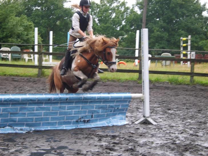 Anden særlig race Pinocchio *SOLGT /':* - vi springer en mur så stolt<3 fotograf: min mor billede 5