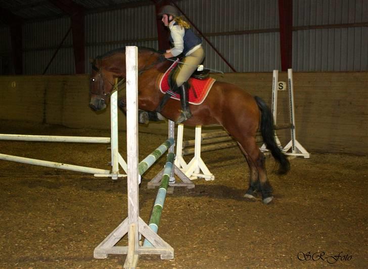 Anden særlig race Tulle *Gammel part* - Nyt! billede 7