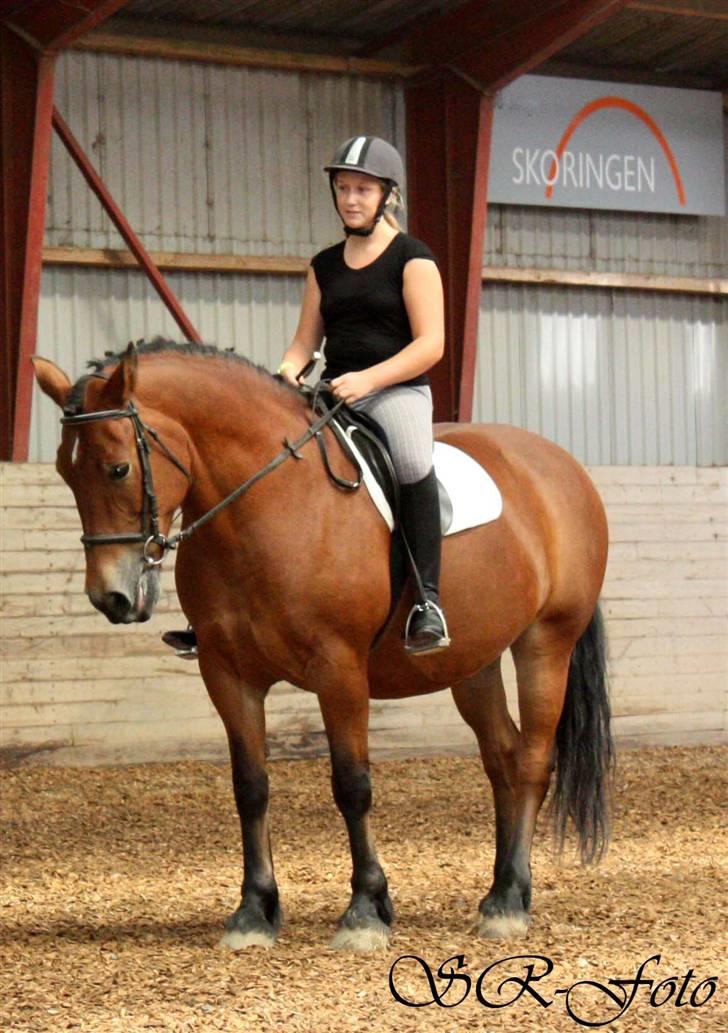 Anden særlig race Tulle *Gammel part* - Nyt! billede 8