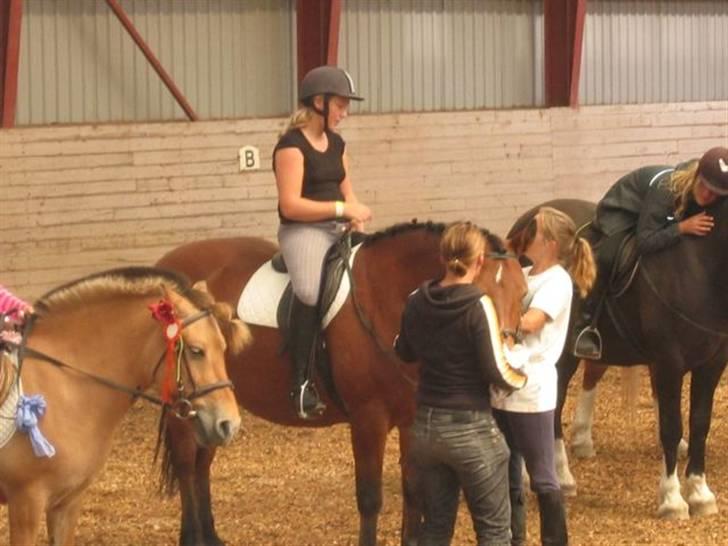 Anden særlig race Tulle *Gammel part* - Her fik vi en premie :) billede 9