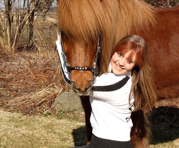 Islænder Freyr fra Tanderup - 22/3/11 - Nyt stævne hovedetøj + nyt bid (: billede 17