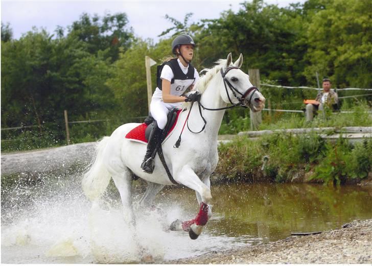 DSP sharon billede 17