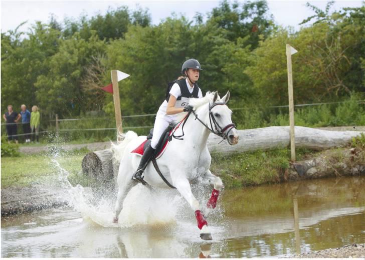 DSP sharon billede 18