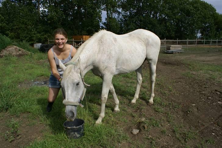 Anden særlig race Sølvstenens Sheik *solgt* - Jeg holder ham da vi var oppe og kikke på ham, han er meget madglad ;o) billede 1