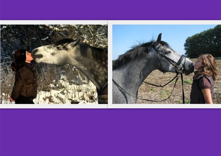 Connemara Wonder Step *Rynkemulen** - velkommen :D  Vi har ikke forandret os, det er verden der har forandret sig :) Vi har altid været de samme, Magda & Wonder !  (Vinter 2009/Sommer 2008) billede 1