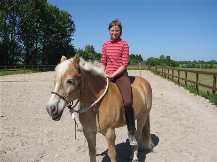 Tyroler Haflinger wacholder - Wacholder og min datter Line billede 2