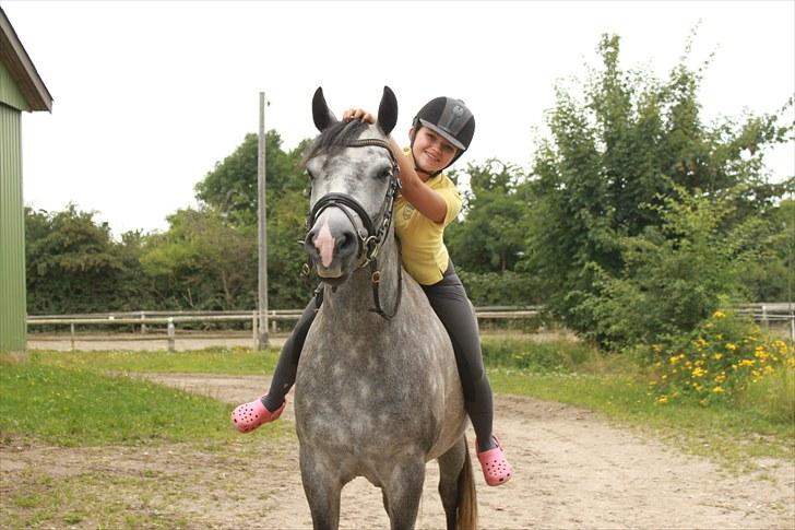 Connemara Wonder Step *Rynkemulen** - Sommer 2010 - Stenholt  foto: mor billede 6