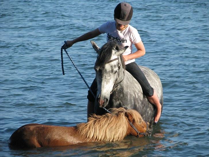 Connemara Wonder Step *Rynkemulen** - Sommer 2010 - Sønderborg      foto: mor billede 8