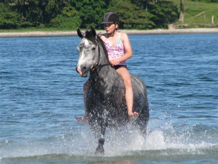 Connemara Wonder Step *Rynkemulen** - Sommer 2009 - Solhjem   foto: mor billede 10