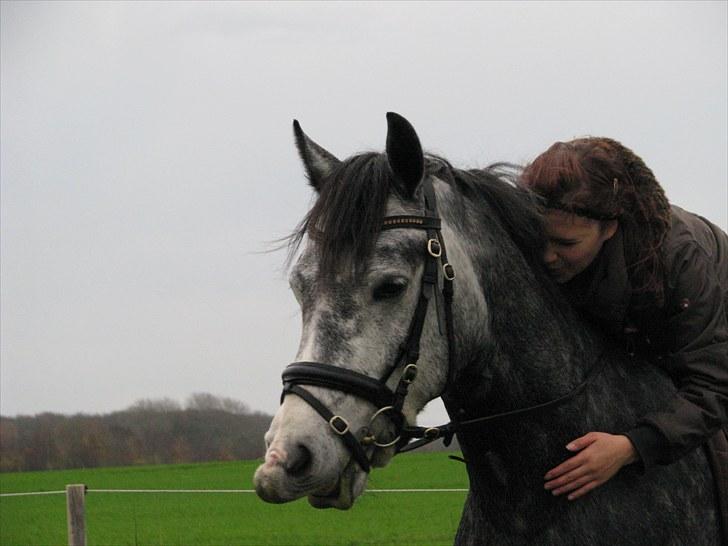 Connemara Wonder Step *Rynkemulen** - Efterår 2009 - Midtkobbel          foto: Tulle billede 12