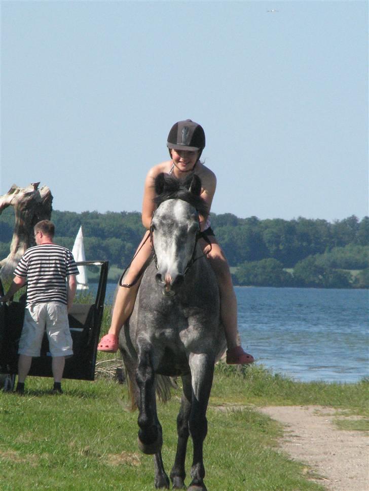 Connemara Wonder Step *Rynkemulen** - Sommer 2009 - Solhjem          foto: mor billede 14