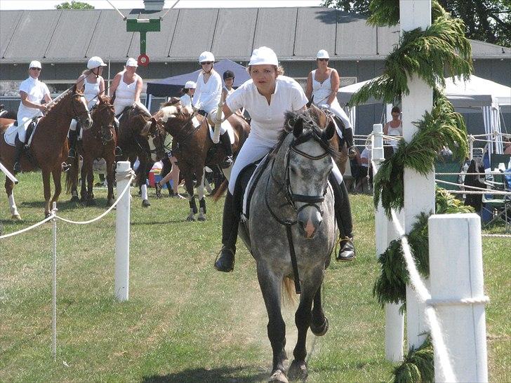 Connemara Wonder Step *Rynkemulen** - Sommer 2010 - Sønderborg ringridning    foto: far billede 15