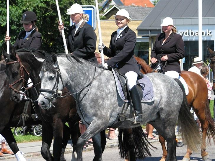 Connemara Wonder Step *Rynkemulen** - Sommer 2010 - Ringridning i Hørup billede 16