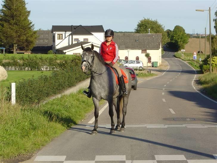 Connemara Wonder Step *Rynkemulen** - Første dag med Pondi , sommer 2008 - V. Sottrup            foto: Anne Krogh billede 17