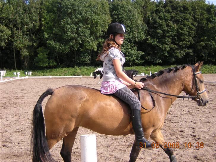Anden særlig race Diva<3 (Gl.part) SAVNET! - 7. skridt ... foto: Riis <3 billede 8