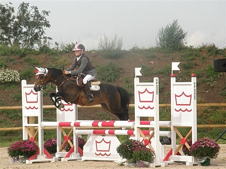 Welsh Pony (sec B) Bjerregård´s Felix B-pony - Felix & jeg i en Mb opvamningsklasse til Dm (´: <3<3<3<3<3<3 billede 15