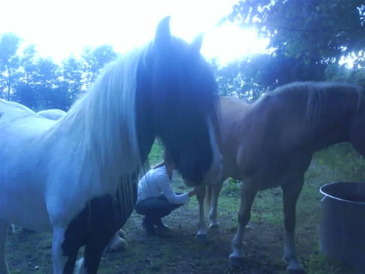 Tinker coke :D - og ud til coke igen <3 kan bare ikke undværre hende! billede 8