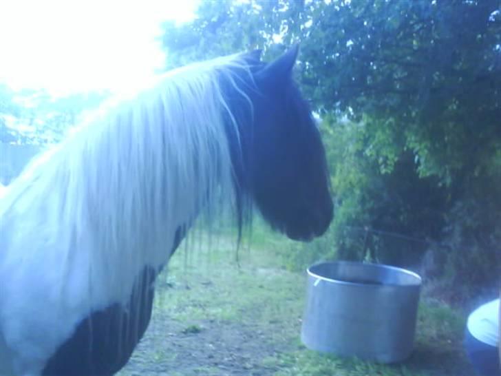 Tinker coke :D billede 9