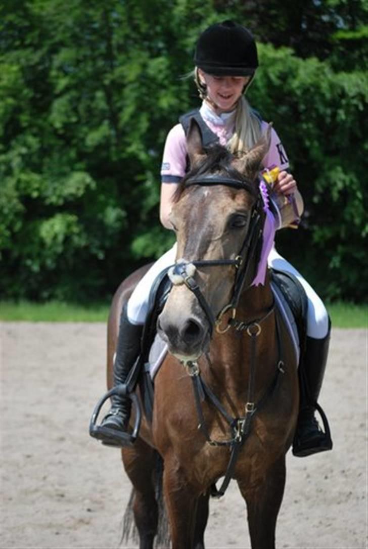 Irsk Sportspony Dusty Springfield<3 - Dusty du er verdens bedste springpony<3 Til præmieoverækkelse! billede 20