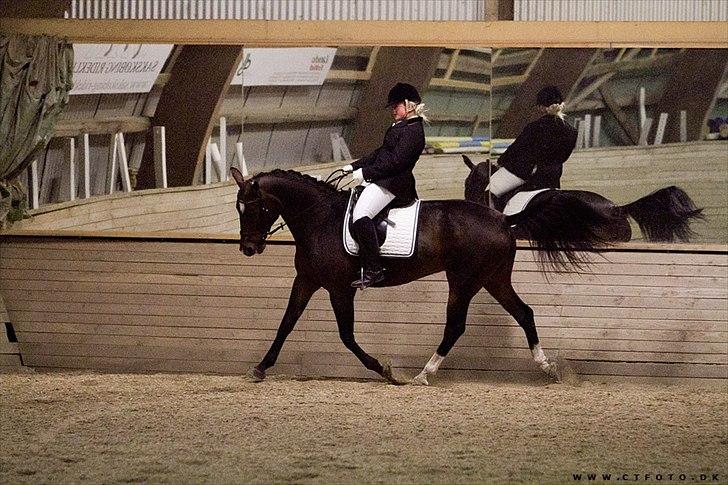 Holstener Cissè Qnego Z - klubmesterskab SAR 2010 billede 9