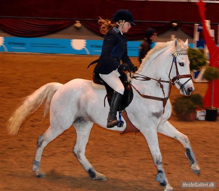 Tysk Sportspony Mona 548 B-pony - 4) Mig og Mona til Danish Christmas show 2008 :) første landsstævne på hende :´* se fotoalbum billede 4