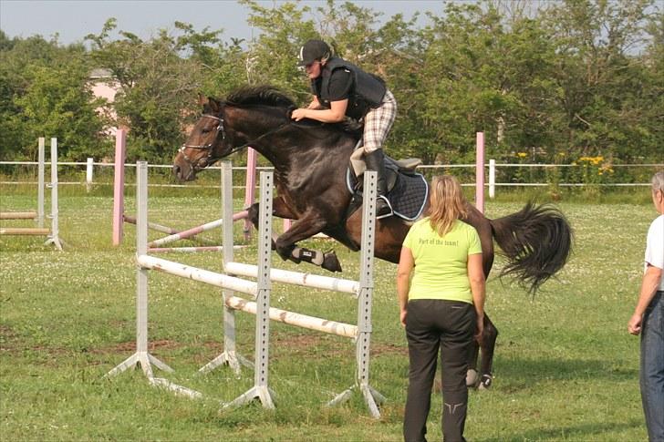 Hannoveraner Columbija - Springtræning i Løgumkloster. Foto: Far billede 3