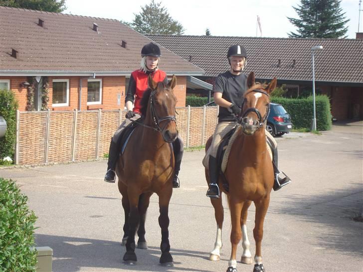 Anden særlig race Heimdals Spirit - Lea + Hektor, og mig + Spirit. billede 8