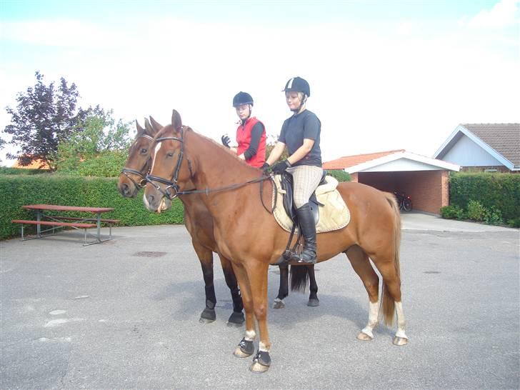 Anden særlig race Heimdals Spirit - Mig og Spirit. billede 9