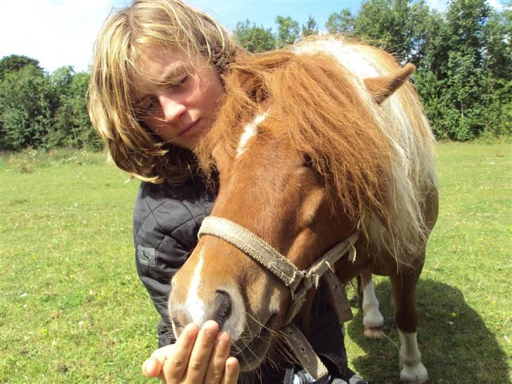 Shetlænder ¬ PINTO <3 - (5) Jeg elsker dig nussemus! Ü. <3 billede 5