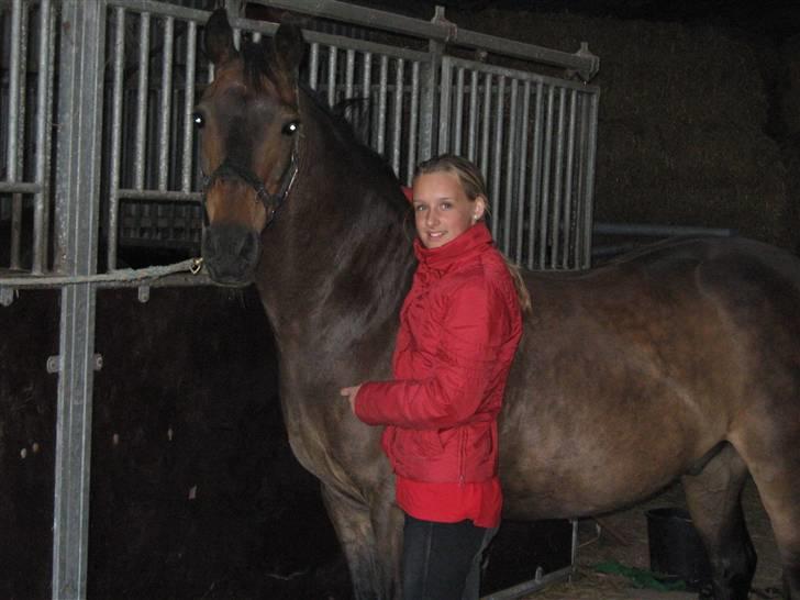 Anden særlig race » Elvis R.I.P - 10 Mona Asp Laursen billede 10