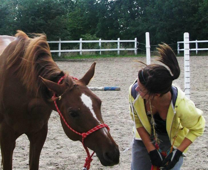 DSP Firhøjs Nobi - min engel - "moor ? vil du nogensinde toppe med at elske mig?" .. -nej jeg er din for evigt!!-  billede 14