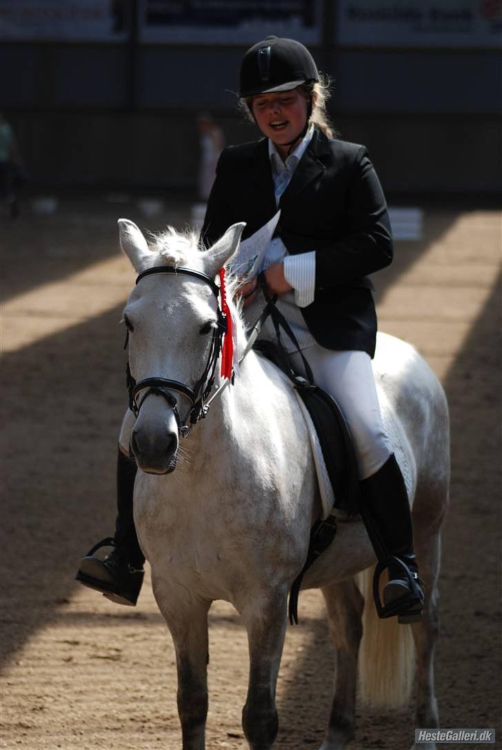 Anden særlig race Cloe :'( Min engel! R.I.P - Sammen med dig blev vi en.  billede 16