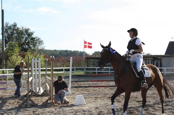 DSP Kamica Toft - kamica i årslev. sidste udestøvne - 4 klasser, 3 rosetter - dygtig pony! :) <3 2.plads :* billede 19