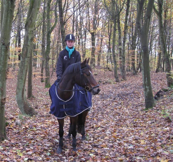 DSP Ibrahim billede 5