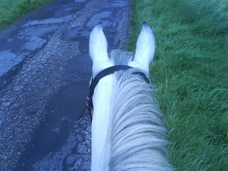 Anden særlig race Sebastian<3 Savner dig! billede 6
