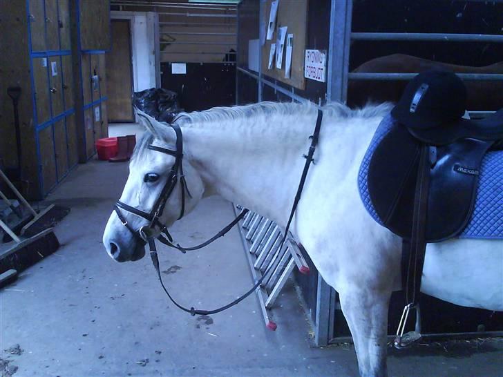 Anden særlig race Sebastian<3 Savner dig! billede 10