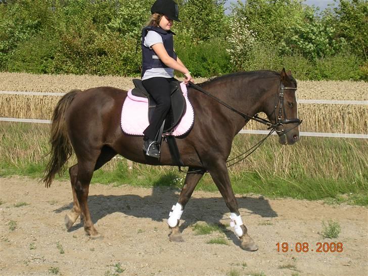 Anden særlig race Liberty  SOLGT - Liberty med lidt nyt udstyr.... billede 17