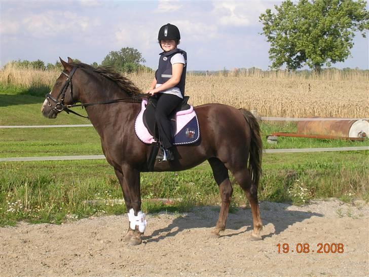 Anden særlig race Liberty  SOLGT - Liberty med lidt nyt udstyr.... billede 18