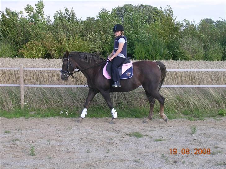 Anden særlig race Liberty  SOLGT - Liberty med lidt nyt udstyr.... billede 19